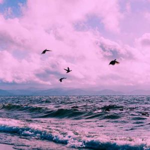 دانلود اهنگ ترکی تراختور گیمیشم قیرمیزی کوینک